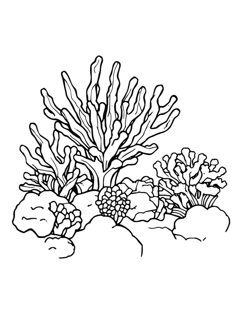 Coral Reef coloring page for kids: colorful corals and sea plants on a reef