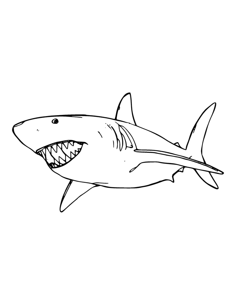 Great White Shark Swimming coloring page for kids: a great white shark gliding through the water