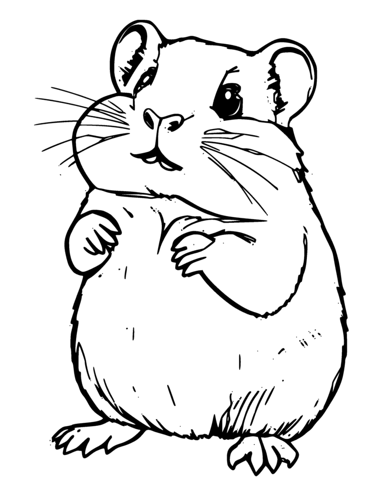 Hamster coloring page for kids: a chubby hamster standing up